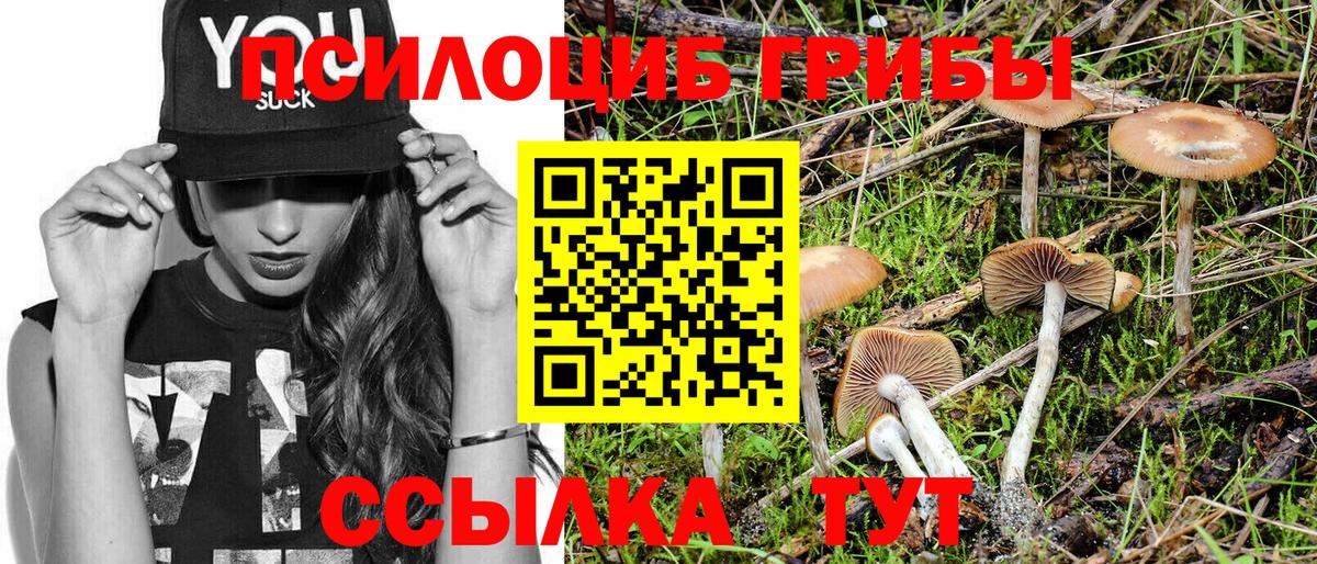Псилоцибиновые грибы Psilocybine cubensis  Галлюциногенные грибы мухоморы  Медногорск  Вход с VPN 